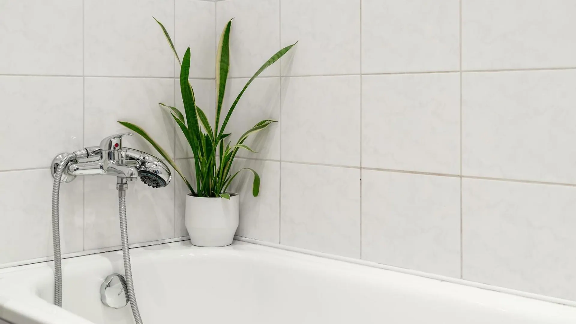 Cozy Warm Studio In Prague City Center Διαμέρισμα
