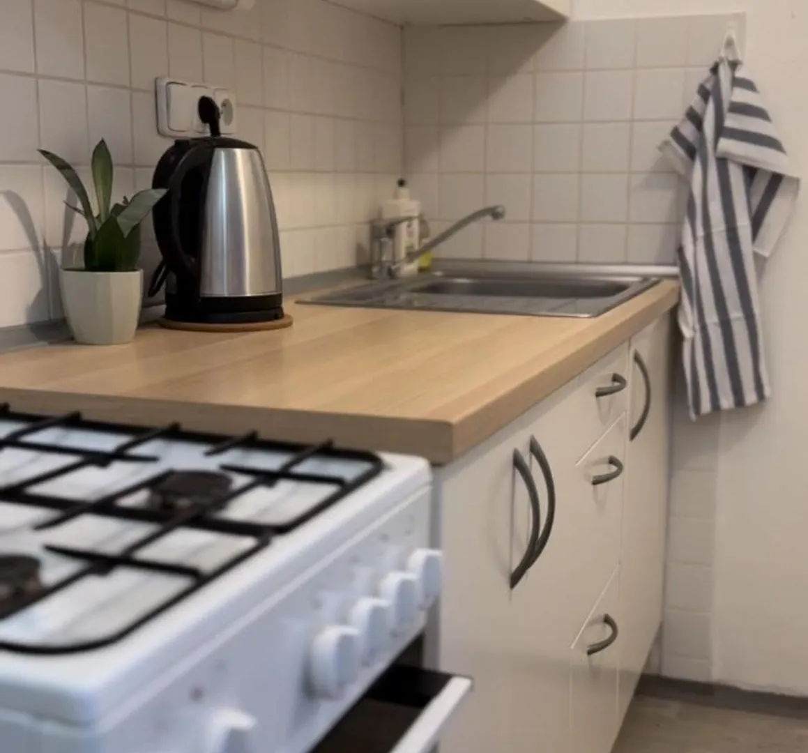 Cozy Warm Studio In Prague City Center